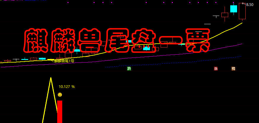 金钻【麒麟兽尾1号】主附图选股/尾盘T1思路高胜率/手机电脑通用无未来函数适合上班族