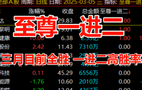 3月全胜 通达信【至尊一进二】竞价指标高胜率，不可多得 但也要注意风险