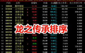 通达信【龙之传承排序】竞价排序工具 竞价策略首选